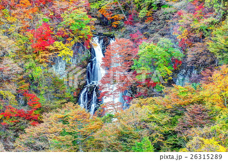 錦秋の霧降の滝 錦秋の霧降の滝 26315289