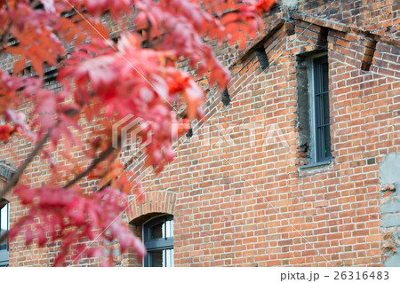 古いレンガの建物とナナカマドの実 26316483