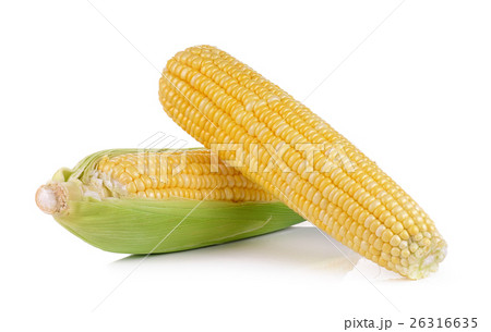 fresh corn on white background 26316635