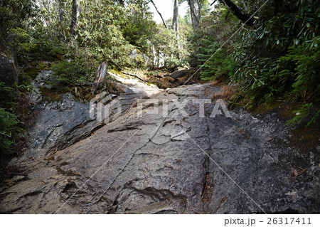 登山道 危険箇所 鎖場 登山道 危険箇所 鎖場 26317411