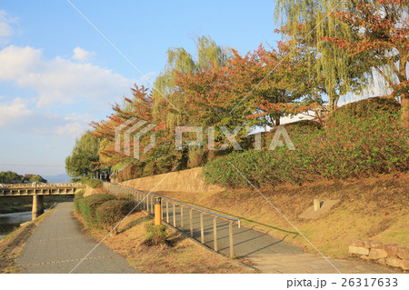 Kyoto, Japan - Kamo River townscape.  26317633