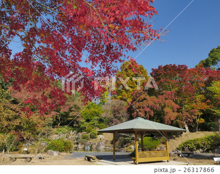 神戸・須磨離宮公園 26317866