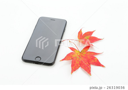 もみじとスマートフォン もみじとスマートフォン 26319036