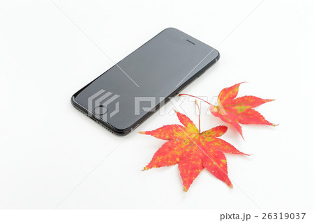もみじとスマートフォン もみじとスマートフォン 26319037