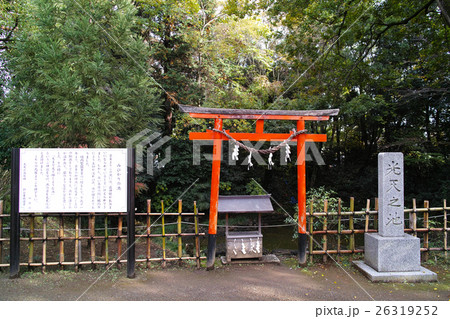 埼玉　鷲宮神社・光天之池 26319252