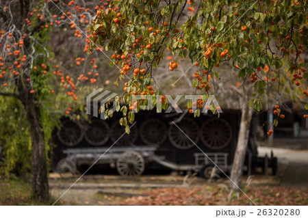 飛騨高山 飛騨の里 26320280