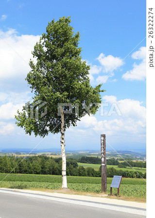 初夏の北海道白樺の木(サインボード有り) 初夏の北海道白樺の木(サインボード有り) 26322274