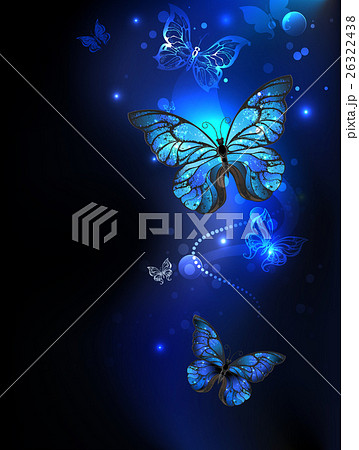 Morpho Butterfly In The Dark Stock Illustration