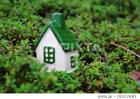 家のミニチュア 26322683