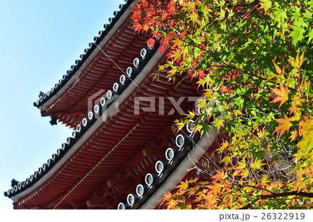 井山宝福寺・三重塔と紅葉 26322919