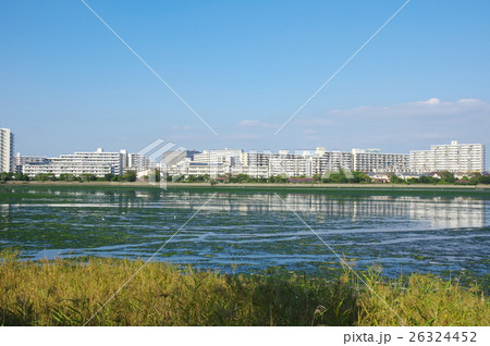 谷津干潟 26324452