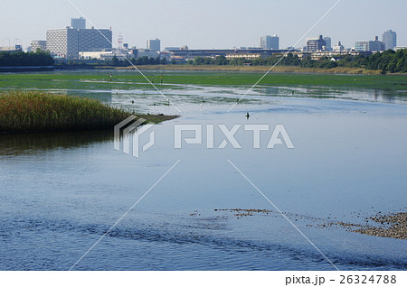 谷津干潟 26324788