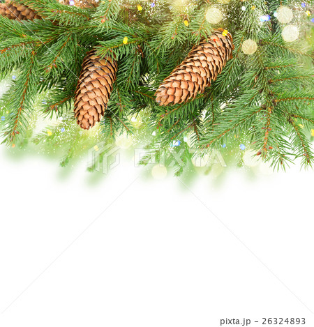 Pine Branch With Cones 26324893
