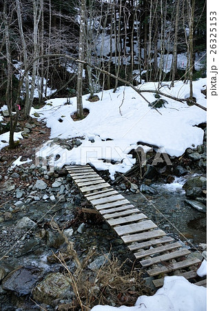 菰釣山のブナ沢 26325153