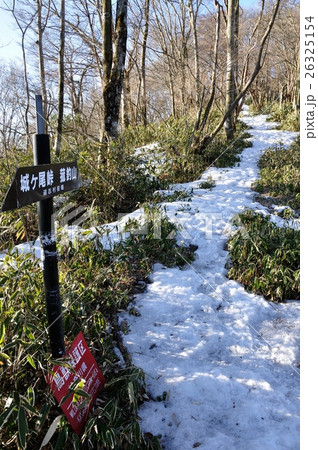 甲相国境尾根のブナ沢乗越 26325154