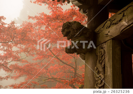 紅葉の最乗寺 紅葉の最乗寺 26325236