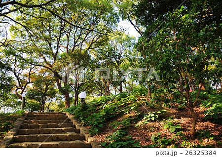 大阪・茶臼山 26325384