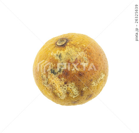 rotten Lemon fruit isolated on white background 26325639