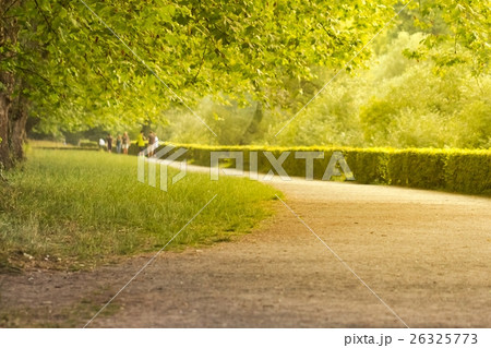 Beautiful summer alley 26325773