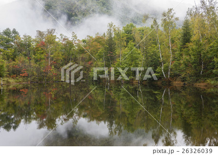 色づき始めたまいめの池 26326039