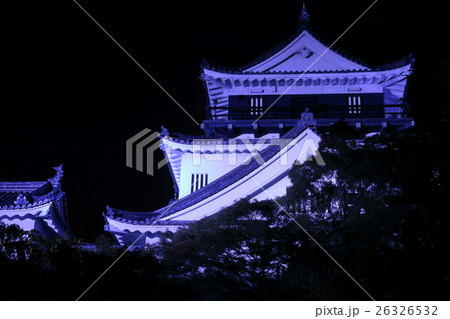 岡崎公園の岡崎城ライトアップ夜景 徳川家康のふるさと愛知県岡崎市の写真素材
