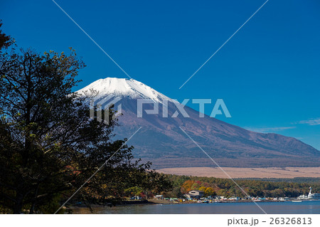 富士山  (10月  山中湖  紅葉) 26326813