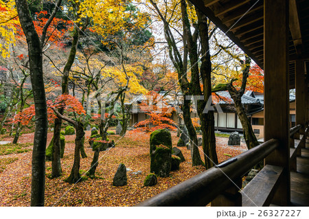 光明禅寺の紅葉の写真素材