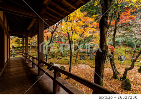光明禅寺の紅葉 26327230