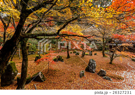 光明禅寺の紅葉 26327231