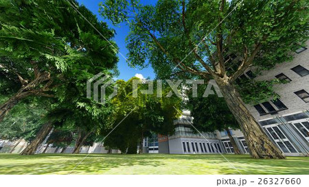 Green city park in sunny and beautiful summer day 26327660