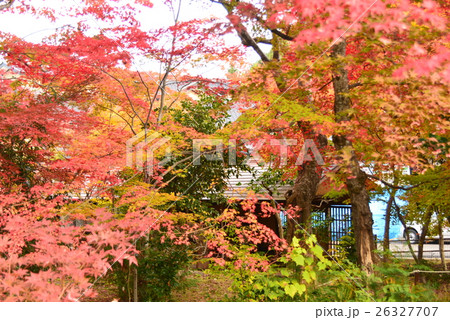 伴月楼記念館の庭 26327707