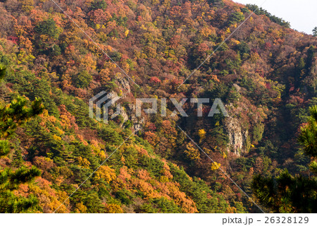 小豆島　寒霞渓 26328129
