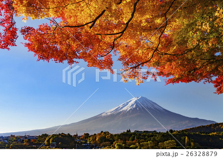 紅葉の河口湖　もみじトンネルから見る富士山 26328879