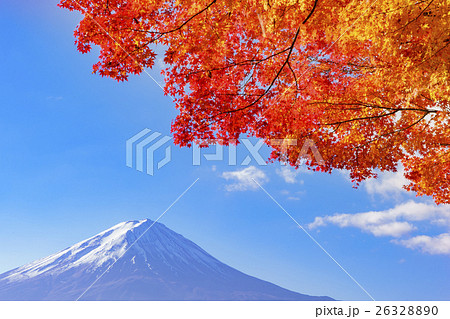 紅葉の河口湖　もみじトンネルから見る富士山 26328890