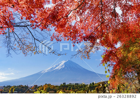 紅葉の河口湖　もみじトンネルから見る富士山 26328892