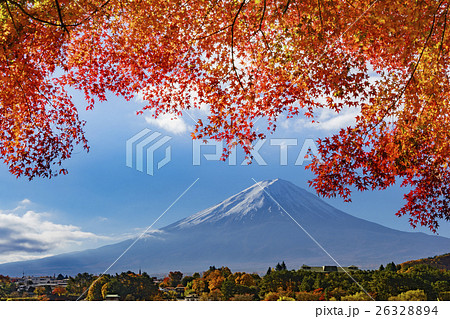 紅葉の河口湖　もみじトンネルから見る富士山 26328894