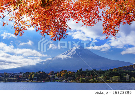 紅葉の河口湖　もみじトンネルから見る富士山 26328899