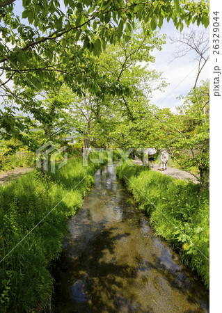 忍野八海の散歩道 26329044