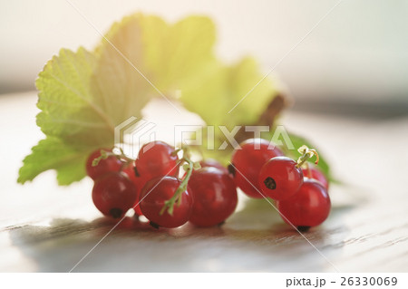 freshly picked red currant on oak wood table freshly picked red currant on oak wood table 26330069