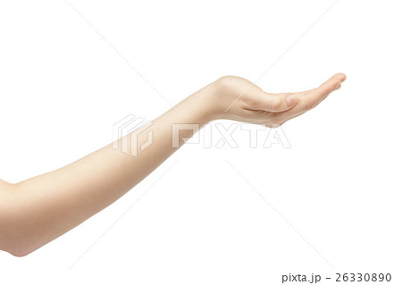 empty young female hand to hold something 26330890