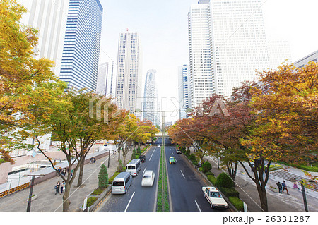 オフィス街の高層ビルと紅葉する街路樹 26331287