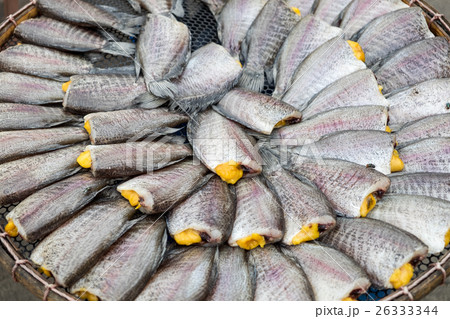 Snakeskin Gourami Fish,Pla Salit fish 26333344