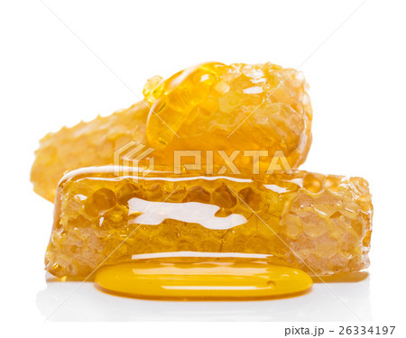 bee honeycomb with honey 26334197
