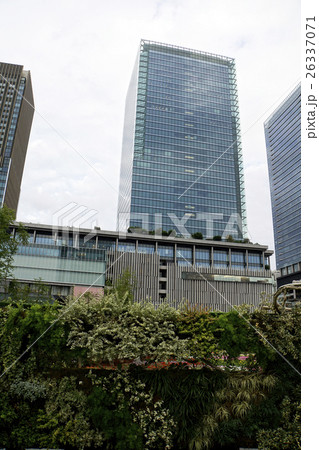 都会のお花畑 美しい都市景観 都会のお花畑 美しい都市景観 26337071