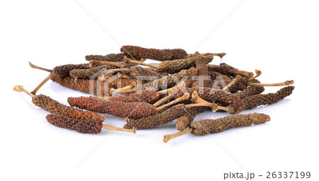 longpepper on white background longpepper on white background 26337199