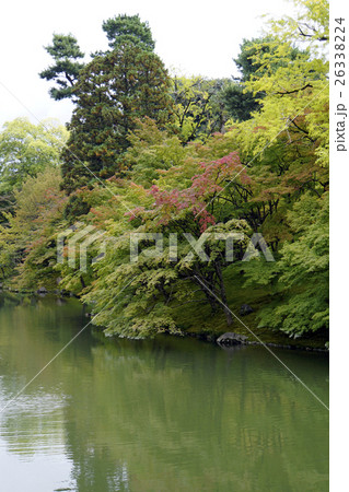 回遊式庭園　仙洞御所　小川 治兵衛 26338224