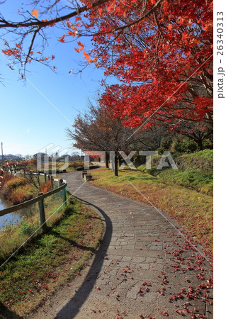 とまほろば古の里歴史公園 とまほろば古の里歴史公園 26340313