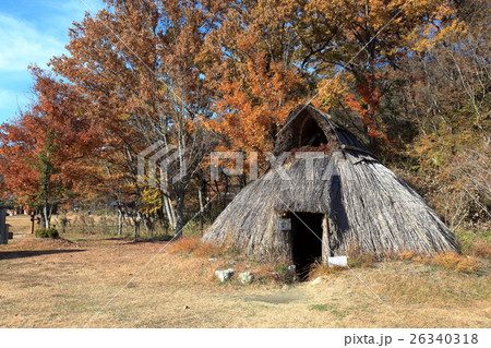 とまほろば古の里歴史公園　縄文時代の竪穴住居 26340318