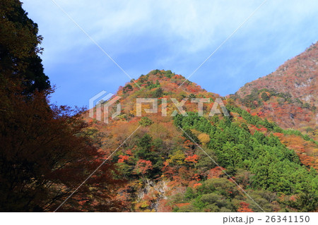 別府峡の紅葉 26341150