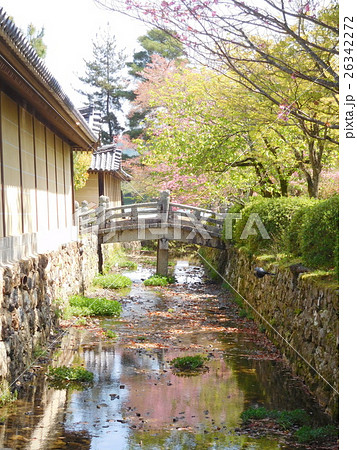 京都　石橋 26342272